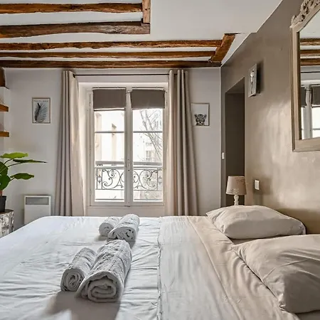 Grand 2 Pieces Typique Du Marais - Flat-guest Apartment *