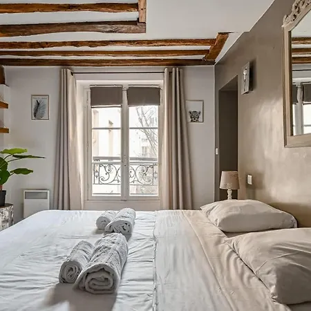 Grand 2 Pieces Typique Du Marais - Flat-guest Apartment *
