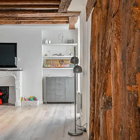 Grand 2 Pieces Typique Du Marais - Flat-guest Apartment Paris