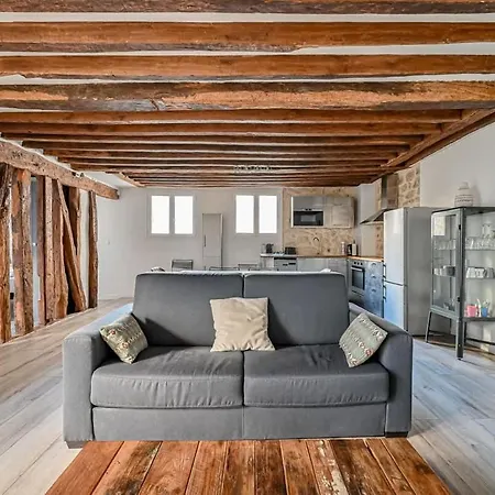 Grand 2 Pieces Typique Du Marais - Flat-guest Apartment Paris